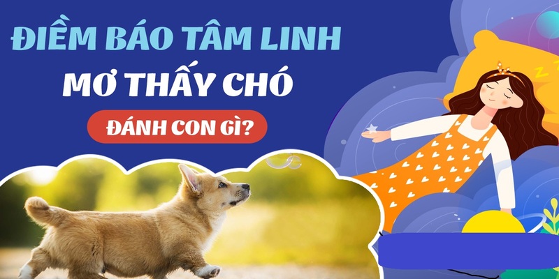 Mơ thấy chó lựa chọn con số may mắn chính xác