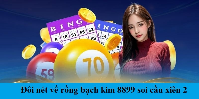 Tìm hiểu đôi nét về rồng bạch kim 8899 soi cầu xiên 2