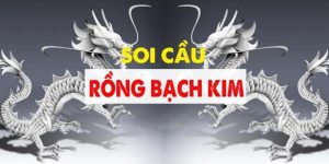 Soi cầu bạch kim ảnh đại diện