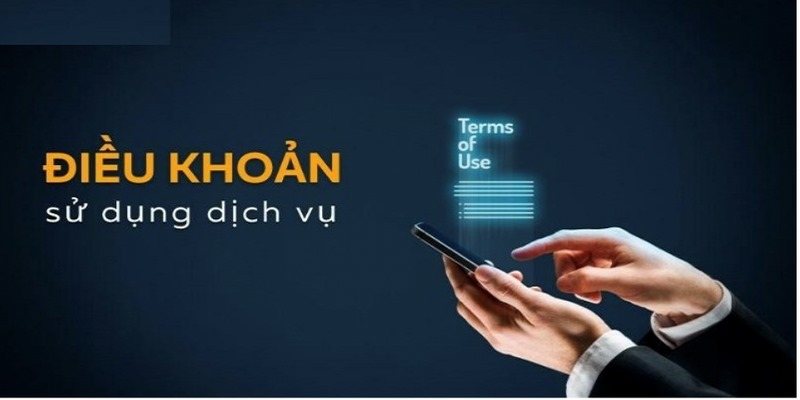 Quy định về điều khoản và điều kiện sẽ được áp dụng chung 