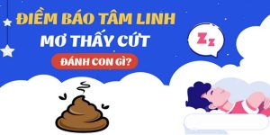 Giải mã thông điệp mơ thấy cứt