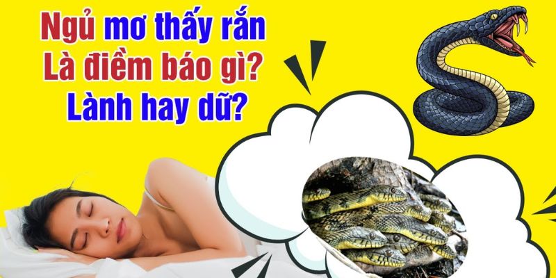 Việc mơ thấy rắn chứa đựng nhiều thông điệp từ tiềm thức